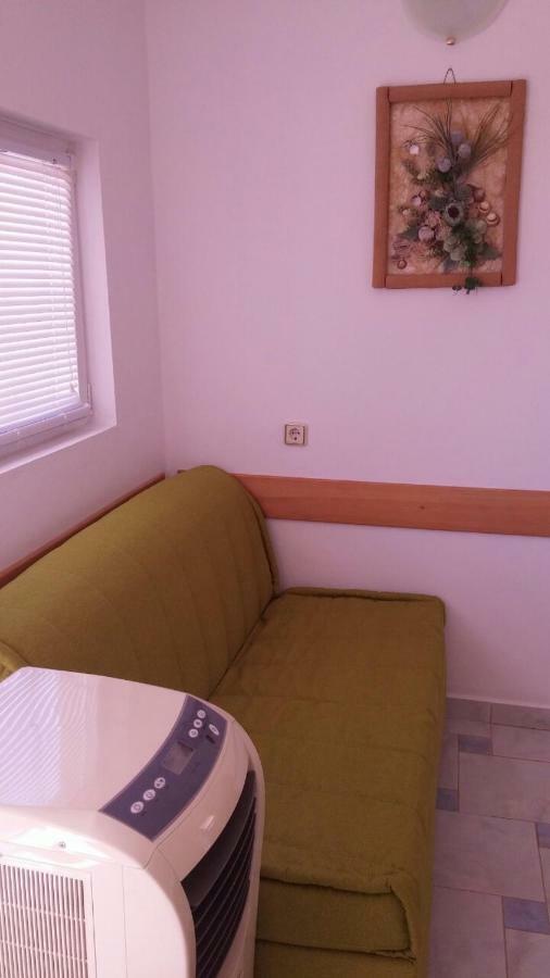 Apartments Kosec ヴーシ エクステリア 写真